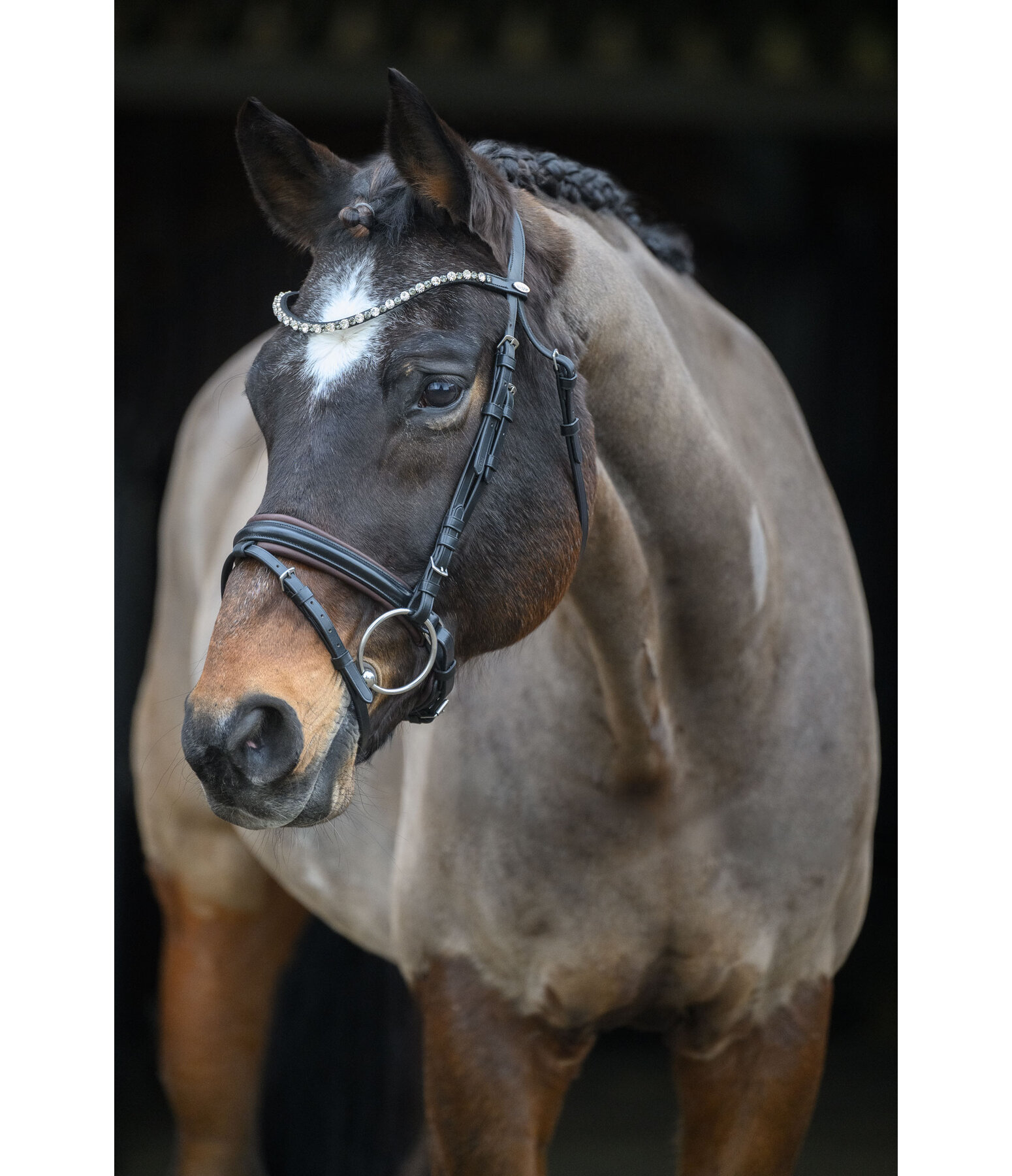 Crank Flash Bridle Charly