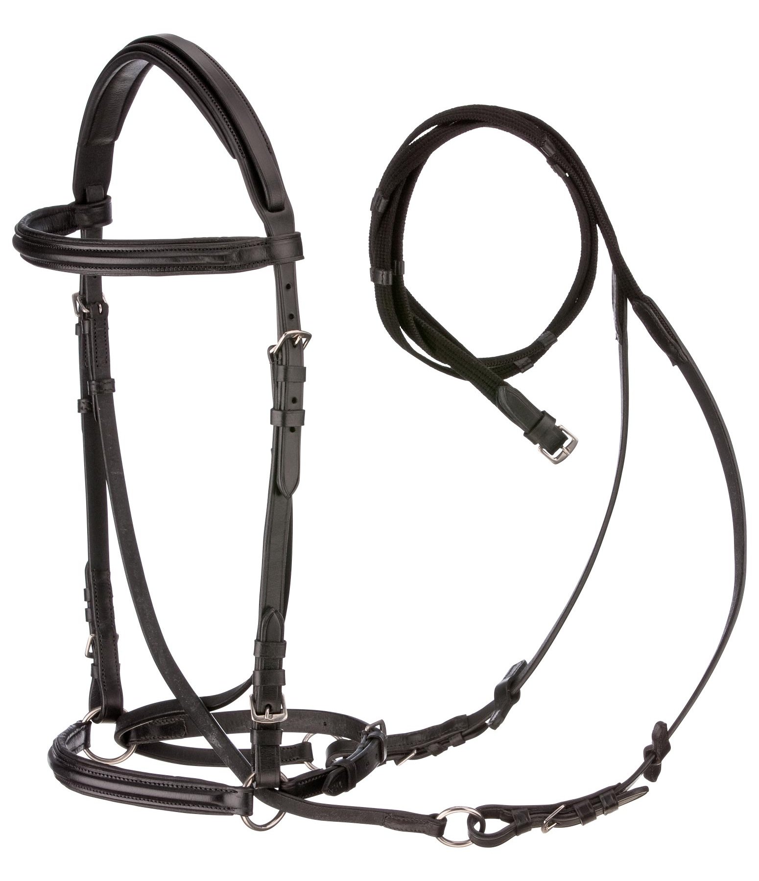 Bitless Bridle