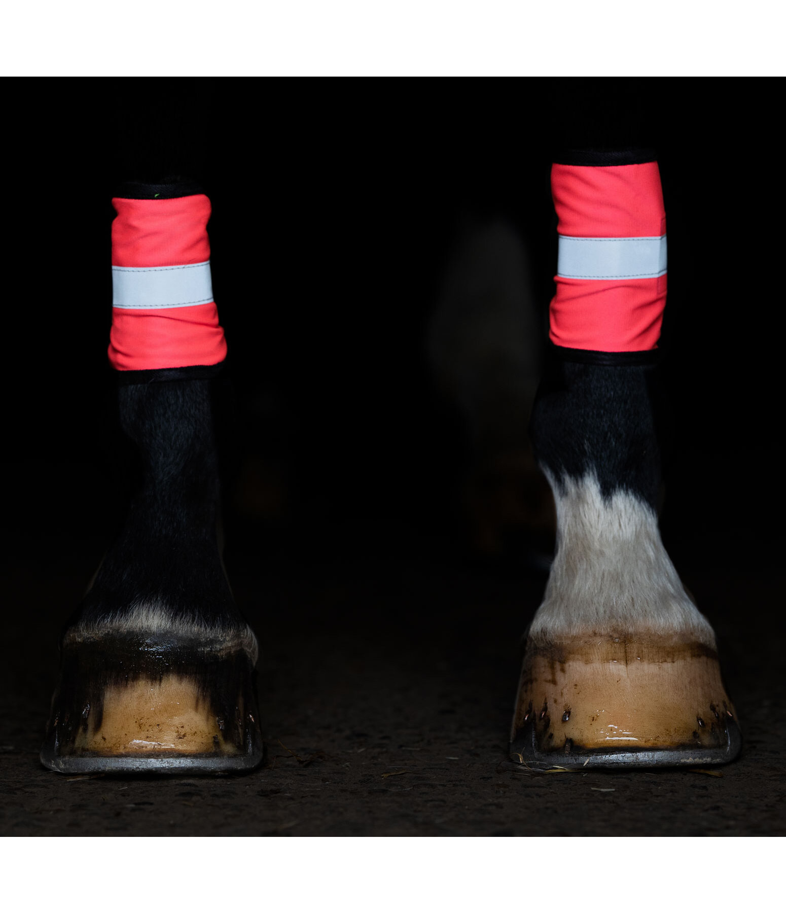 Reflective Legbands, Set of 4