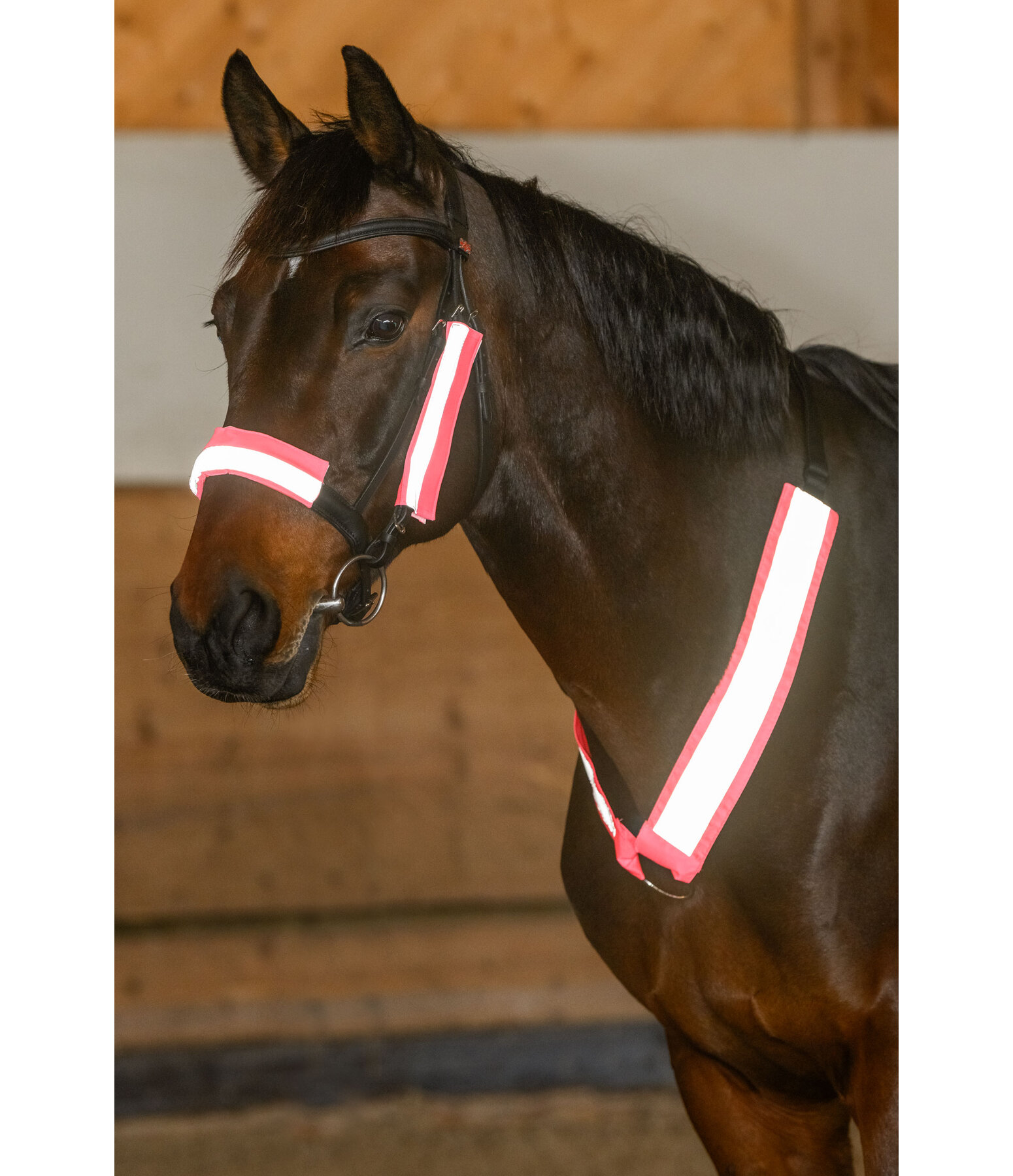 Reflective Bridle Cover Set