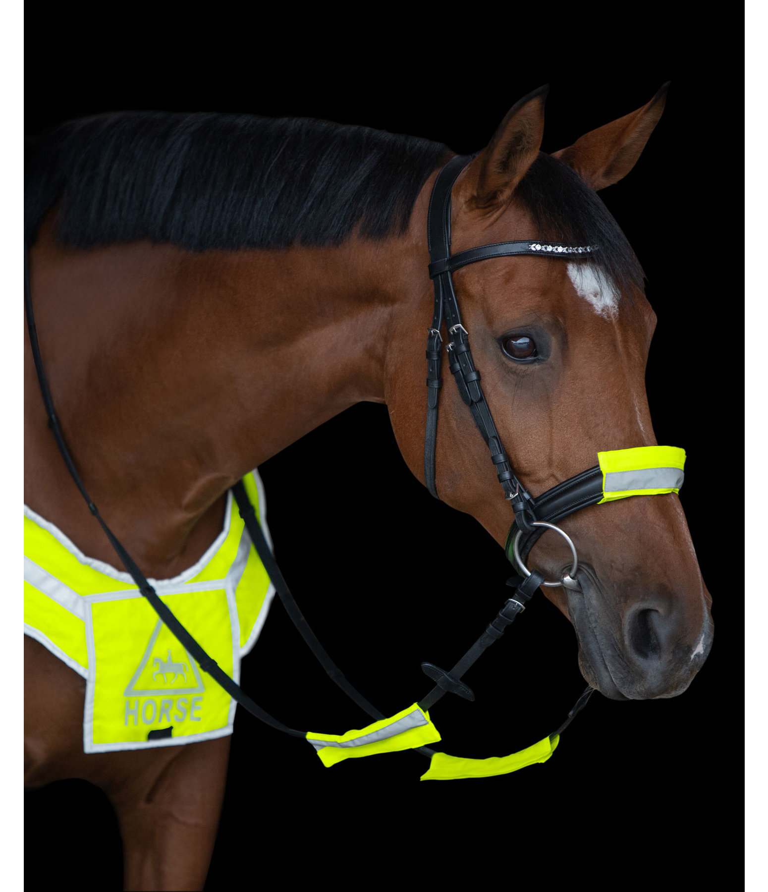 Reflective Bridle Cover Set