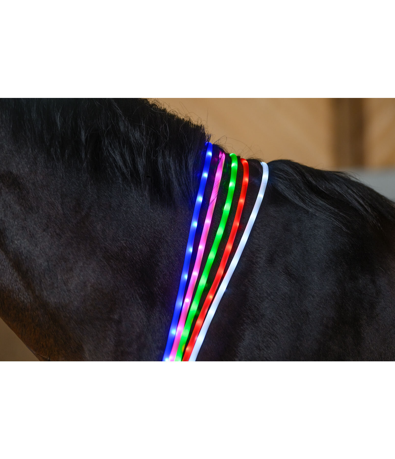 LED-Light Neck Strap for Horses