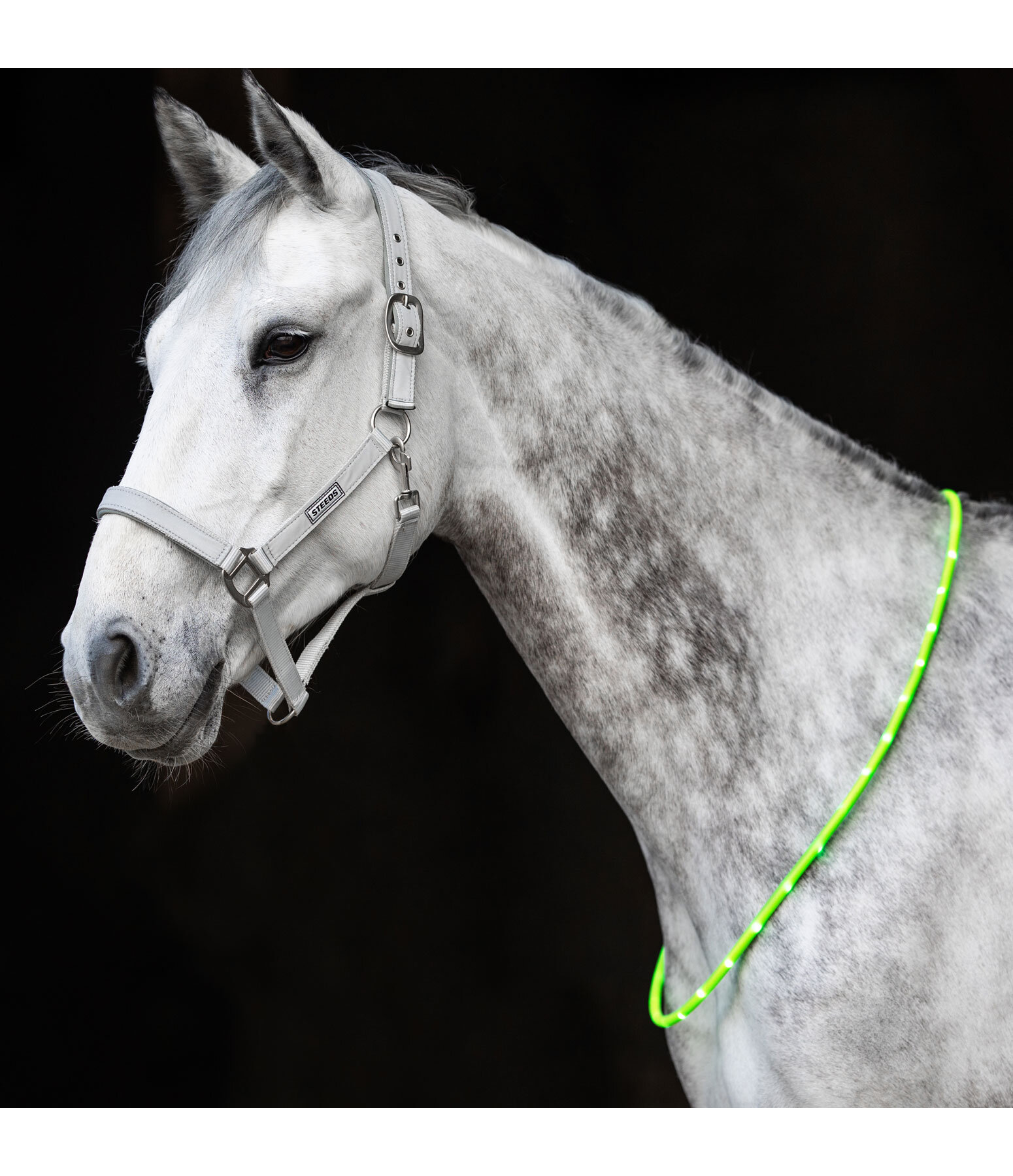 LED-Light Neck Strap for Horses