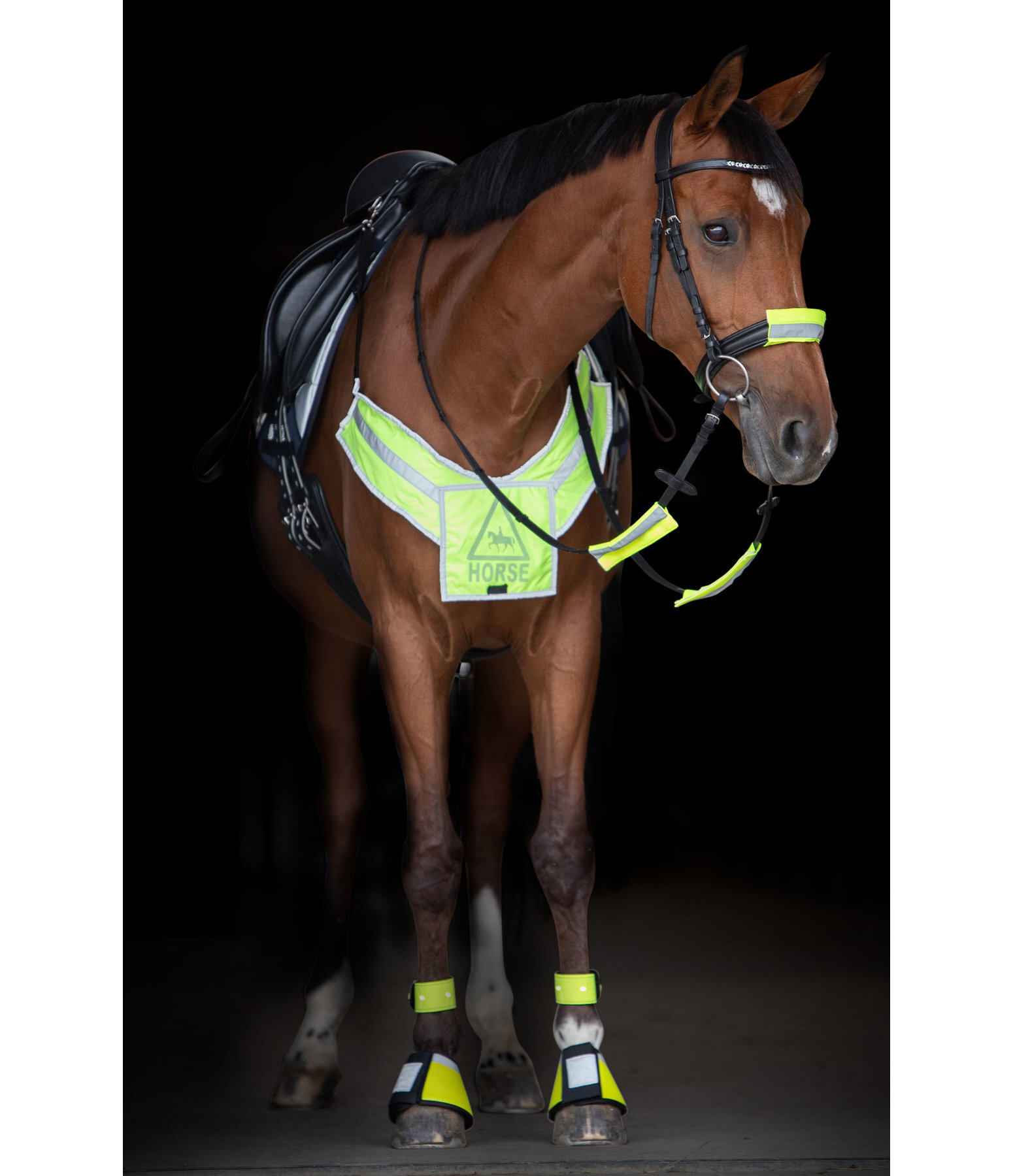 Hi-Vis Breastplate