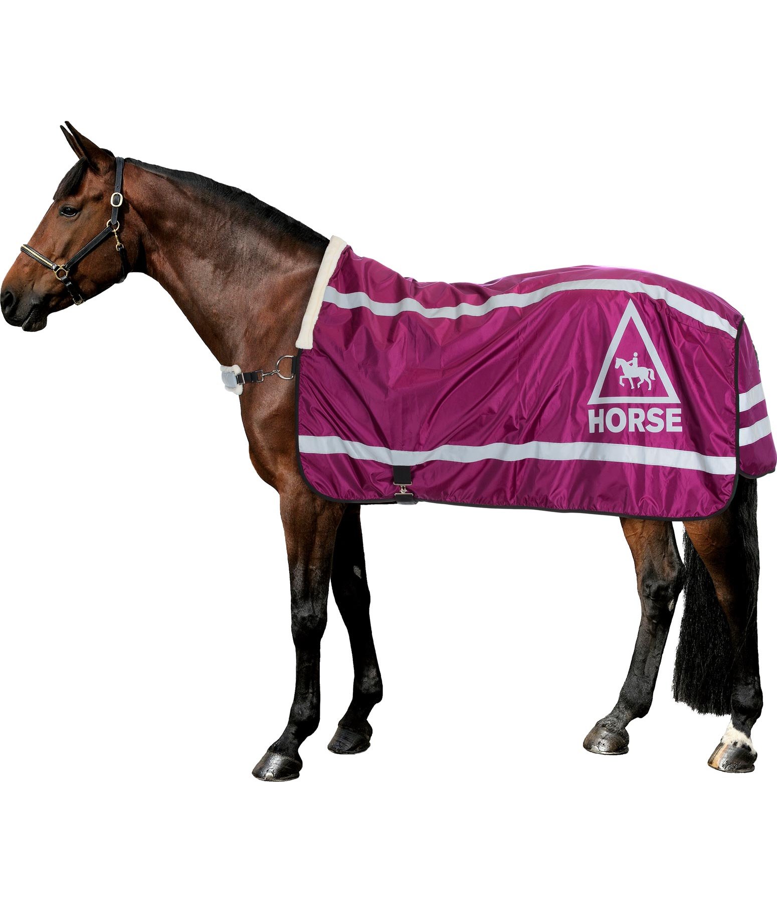 Reflective Walker Rug HORSE 360° Kramer Equestrian