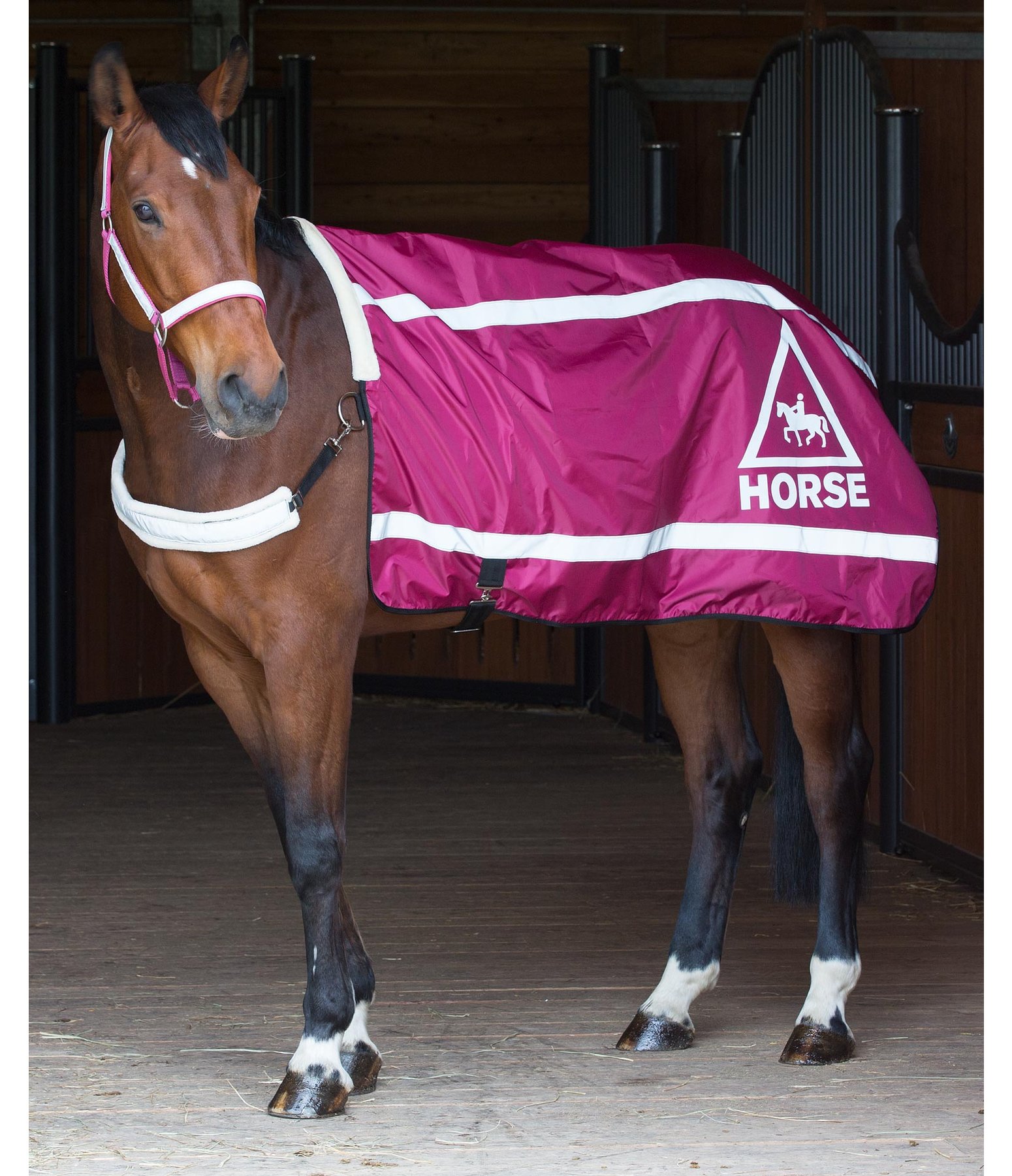 Reflective Walker Rug HORSE 360° Exercise Sheets & Walker Rugs
