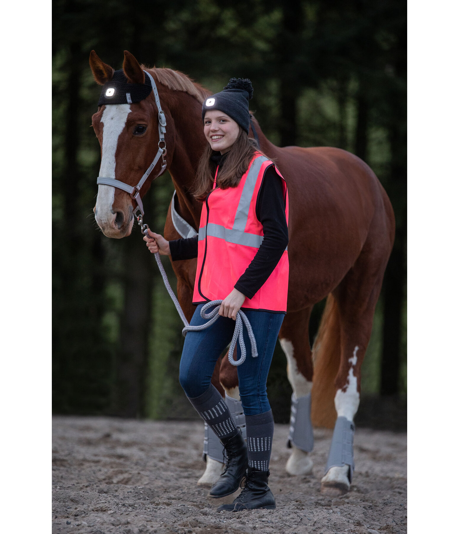 LED Head Lamp for Horses