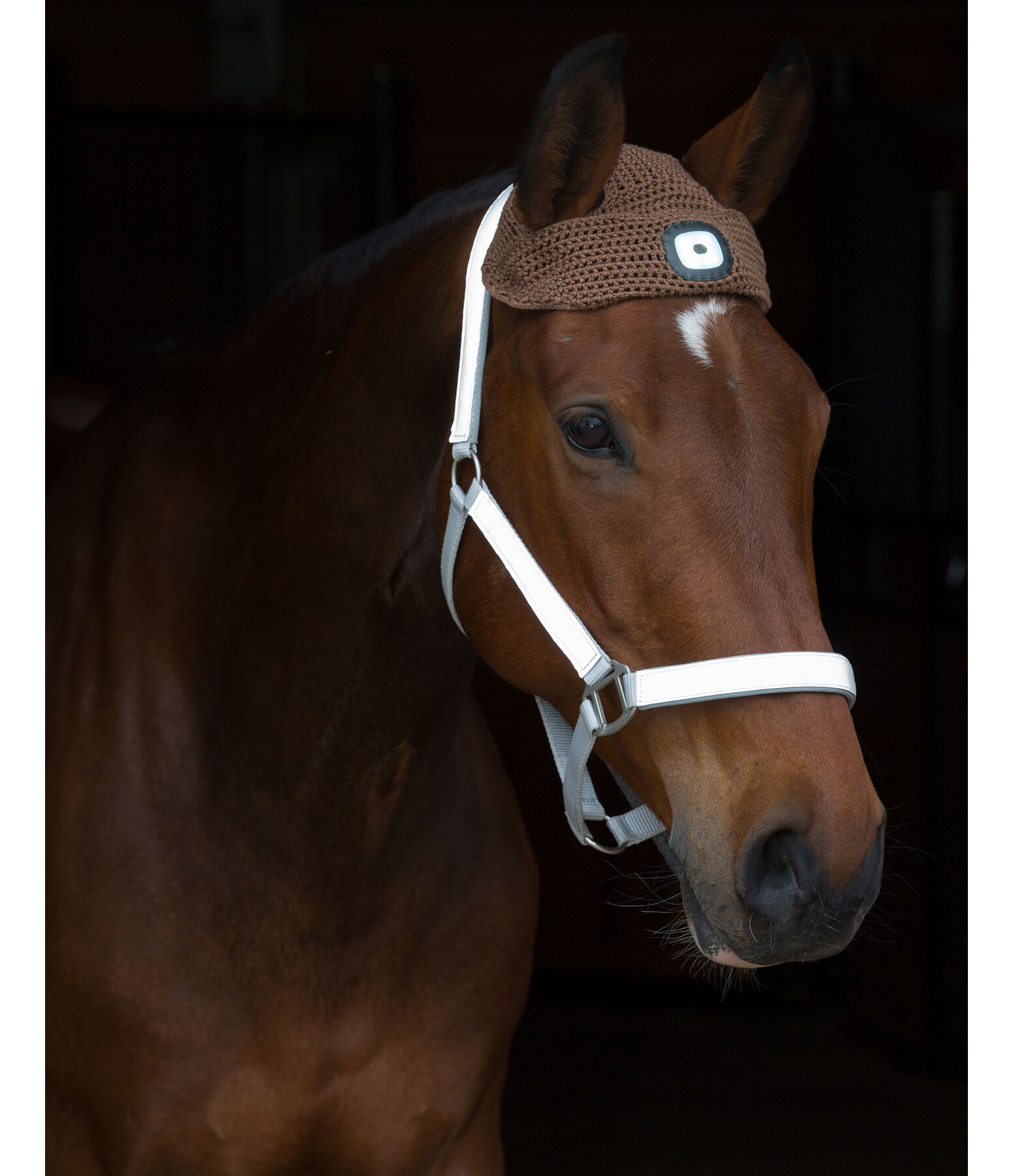 LED Head Lamp for Horses