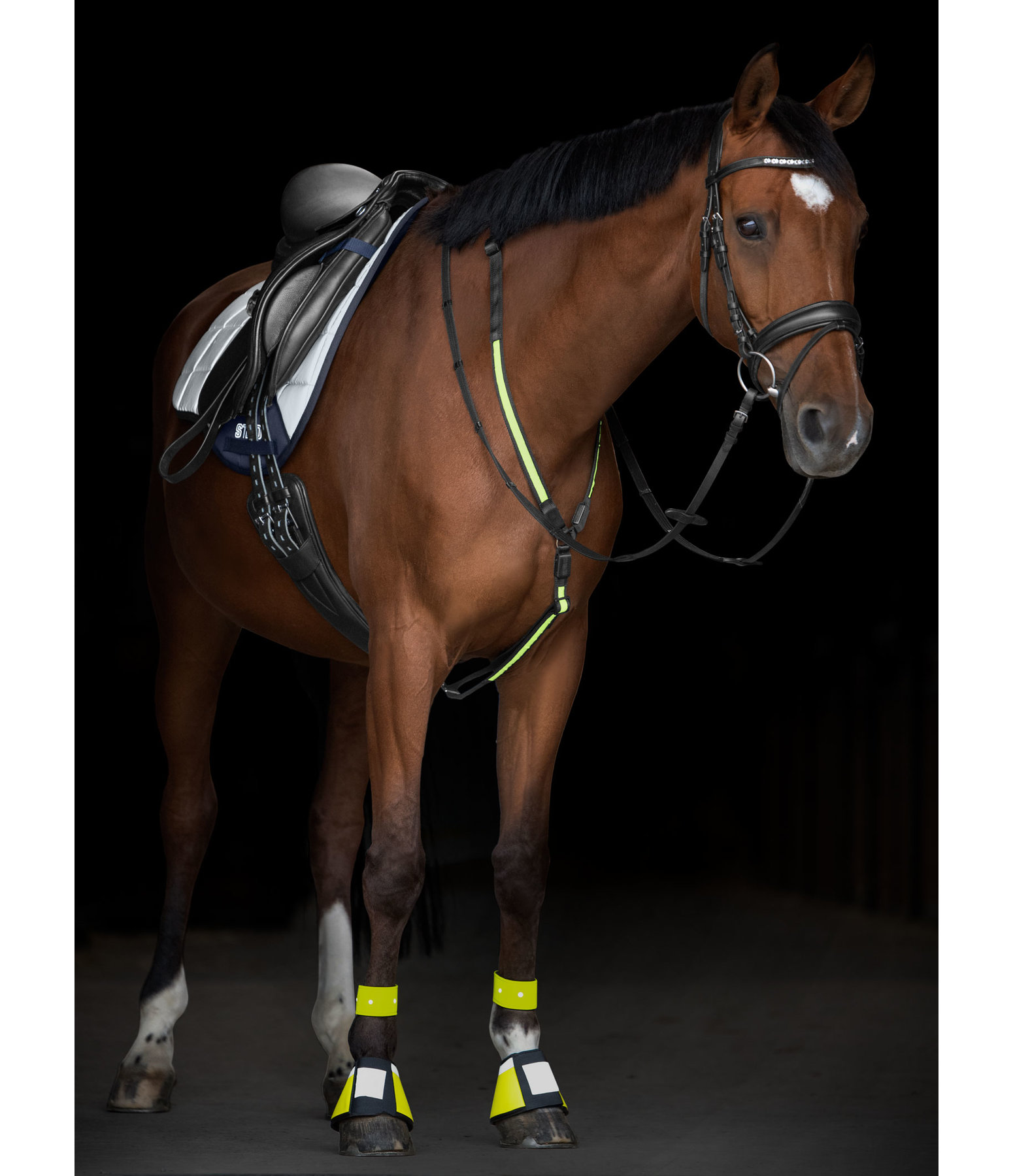 LED Breastplate Breastplates & Martingales Kramer Equestrian
