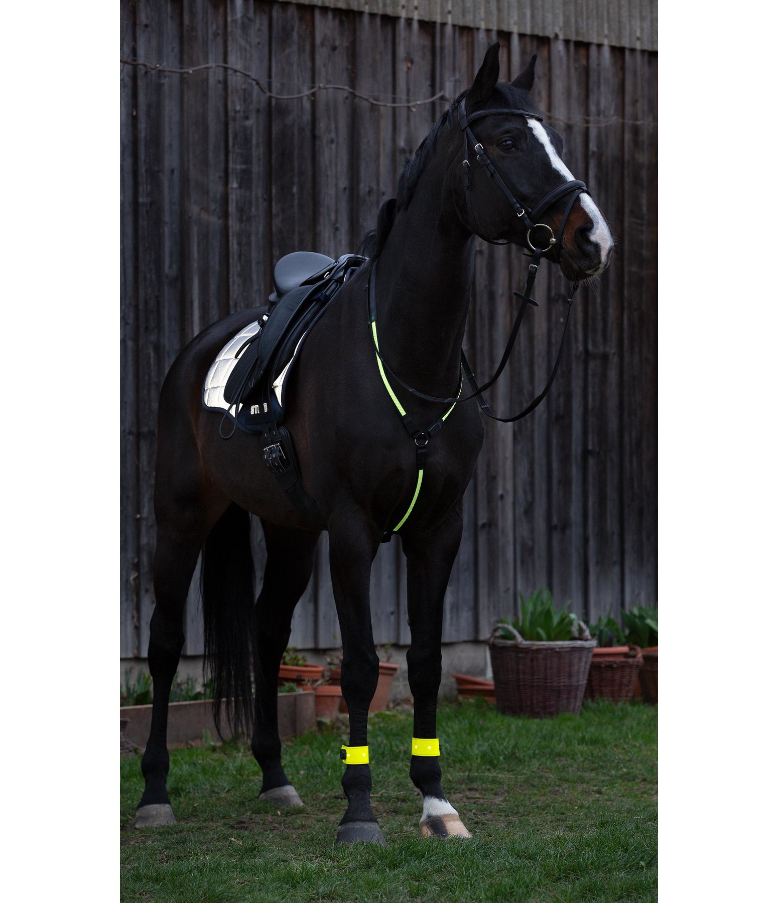 LED Breastplate Reflective Wear Horse Kramer Equestrian