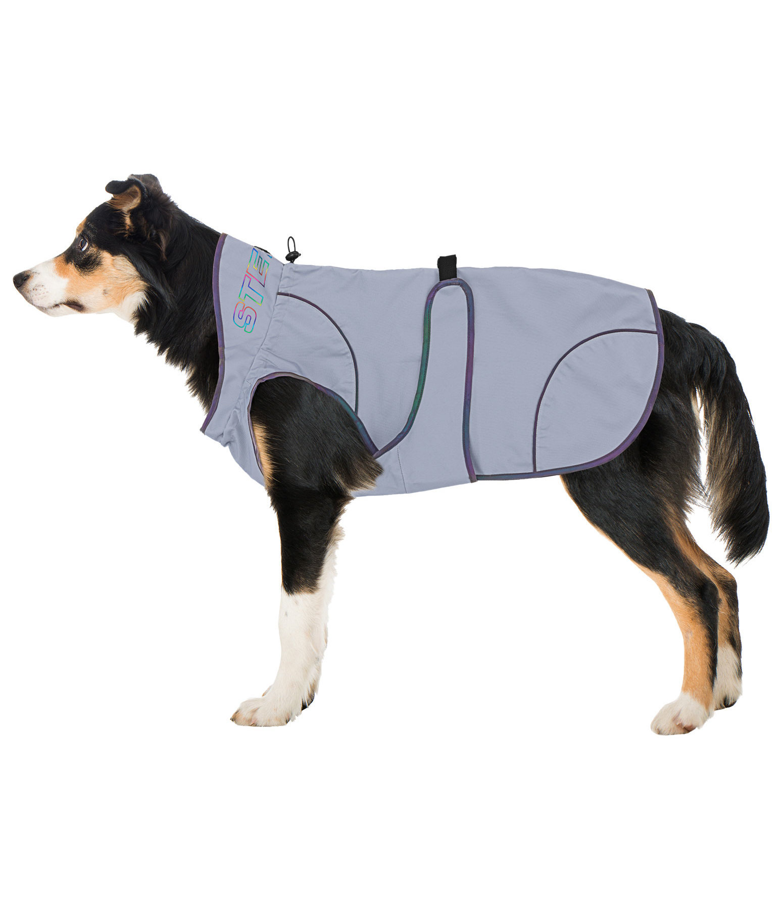 Reflective dog coats uk clearance