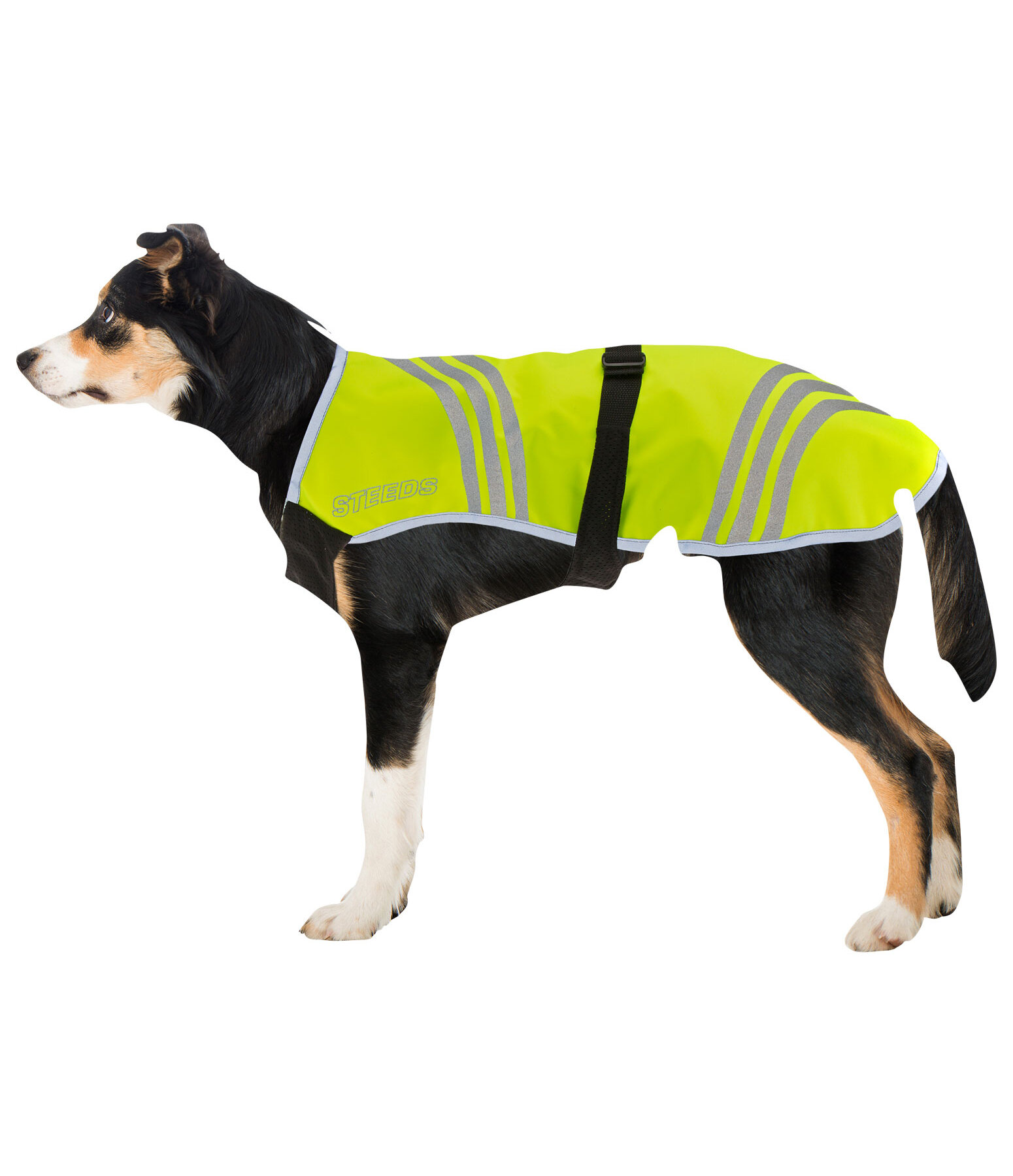 Hi-Vis Dog Coat Bright