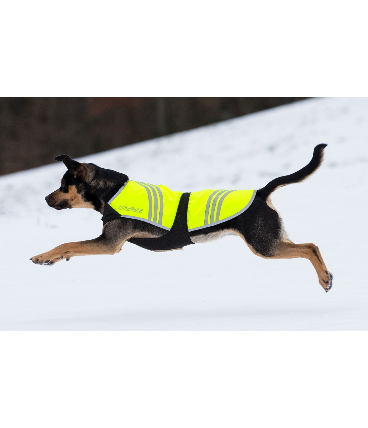 Hi-Vis Dog Coat Bright