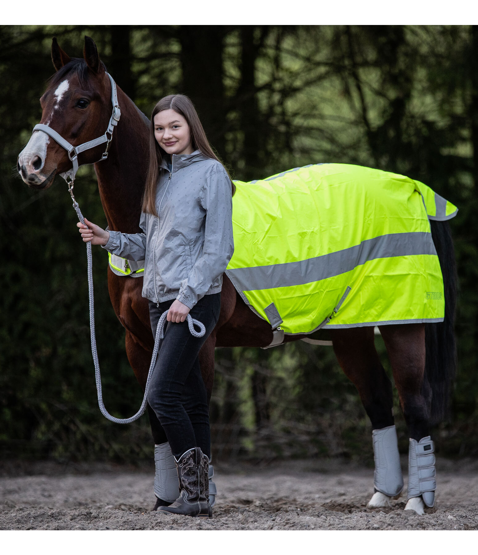 Reflective Walker Rug Bright