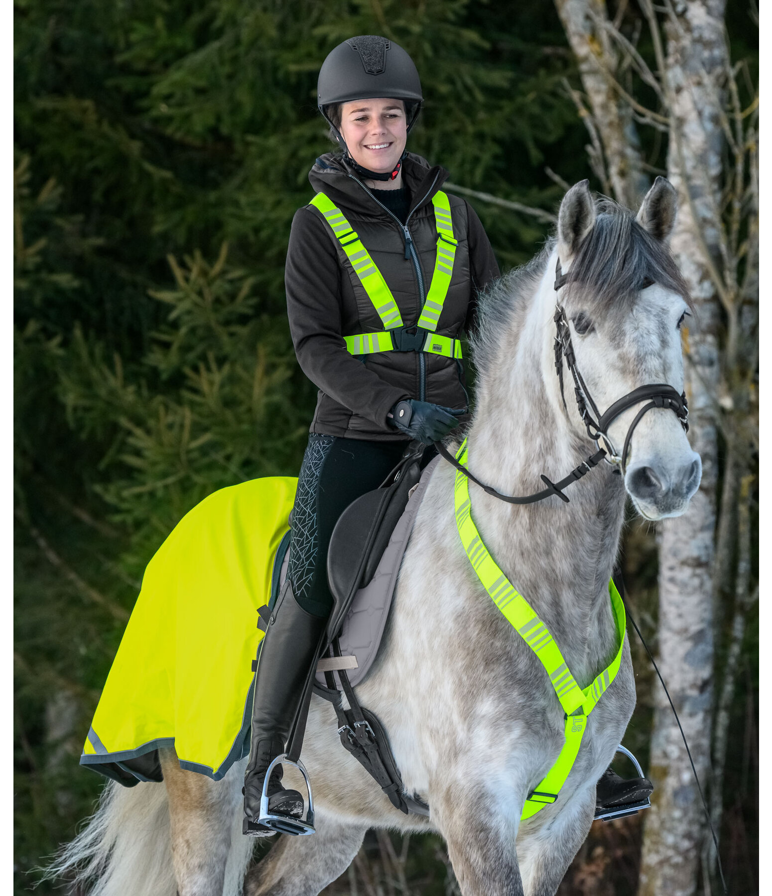 Reflective Harness Stripes