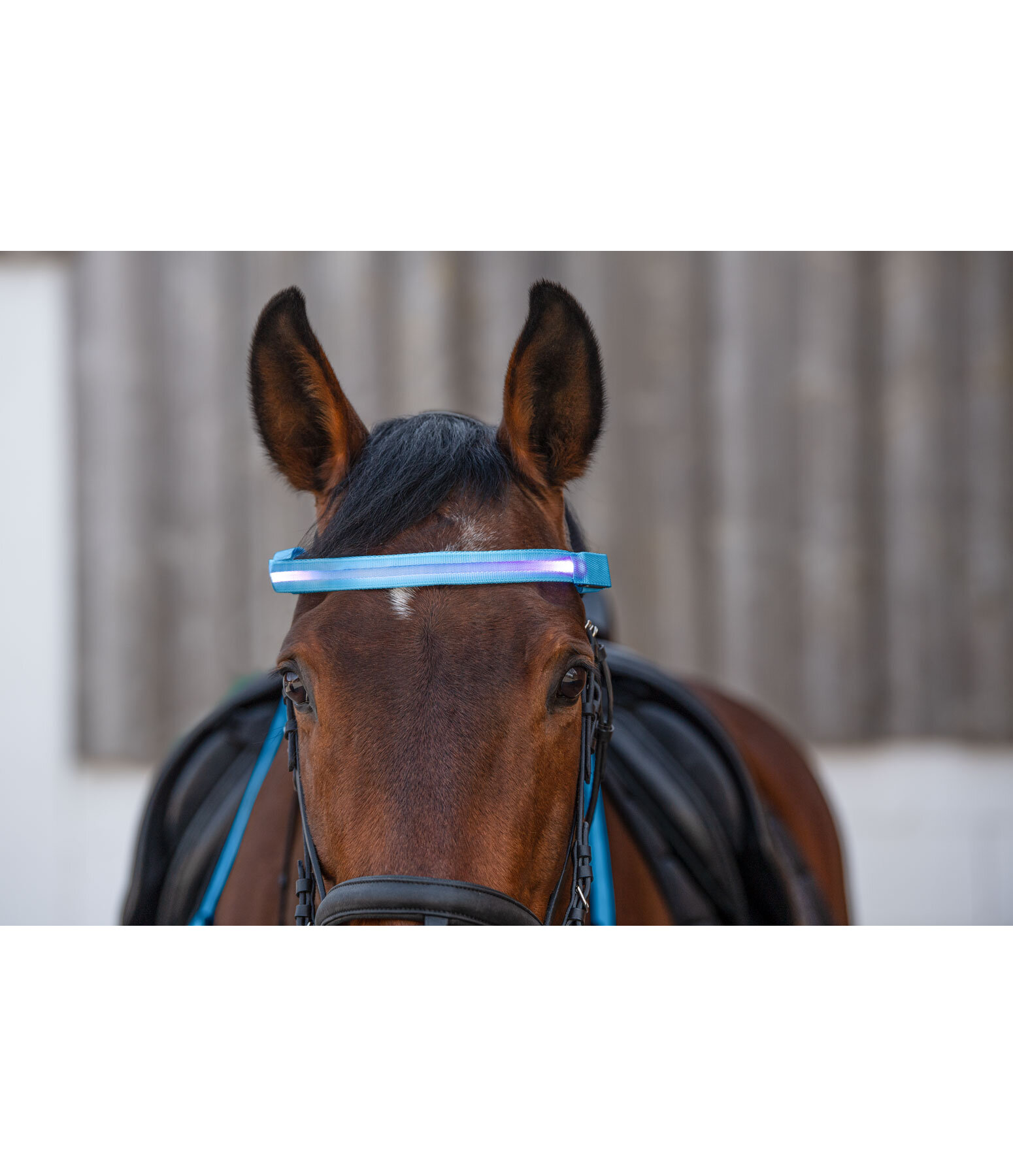 LED Browband Loom