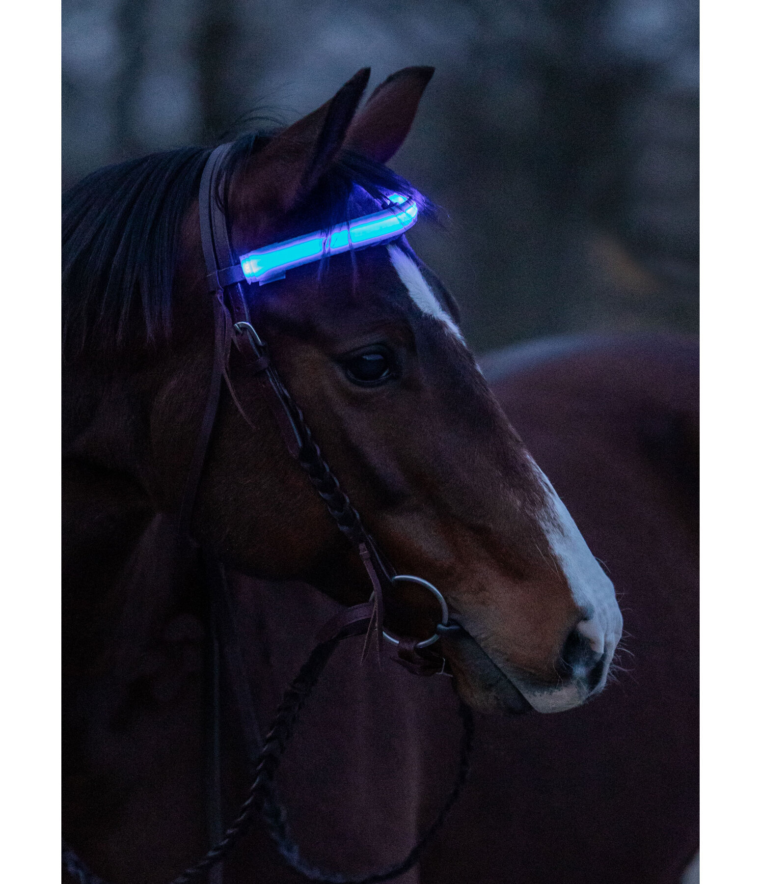 LED Browband Loom