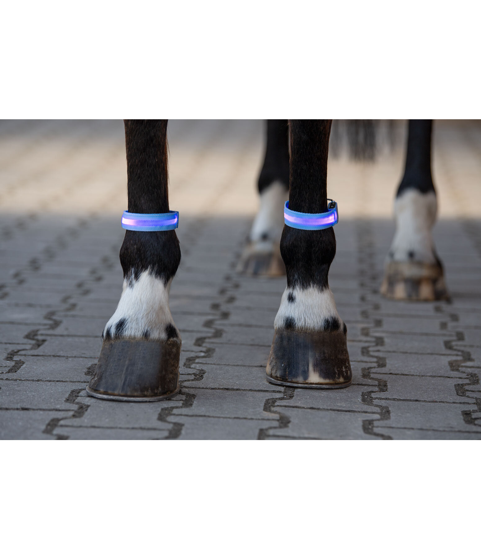 LED Leg Bands Loom