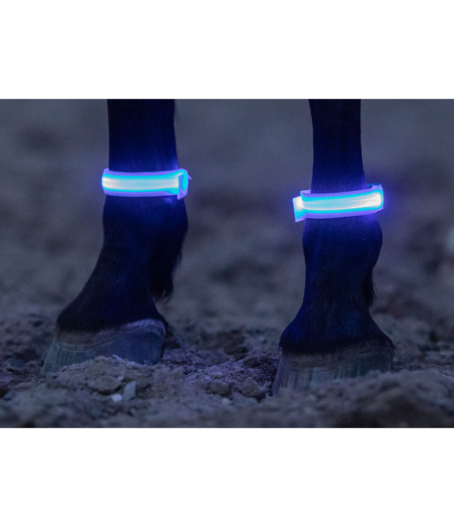 LED Leg Bands Loom