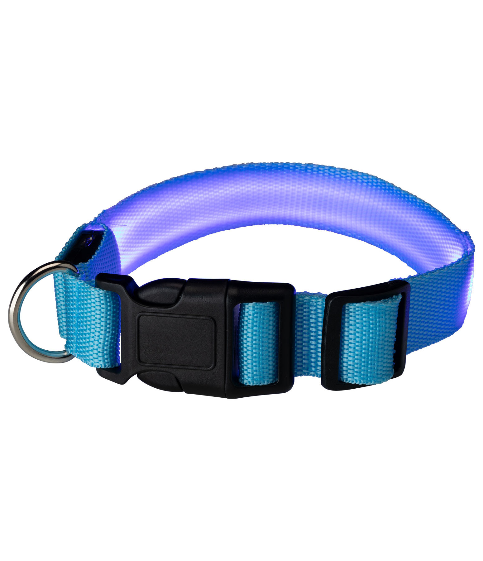 LED Dog Collar Loom