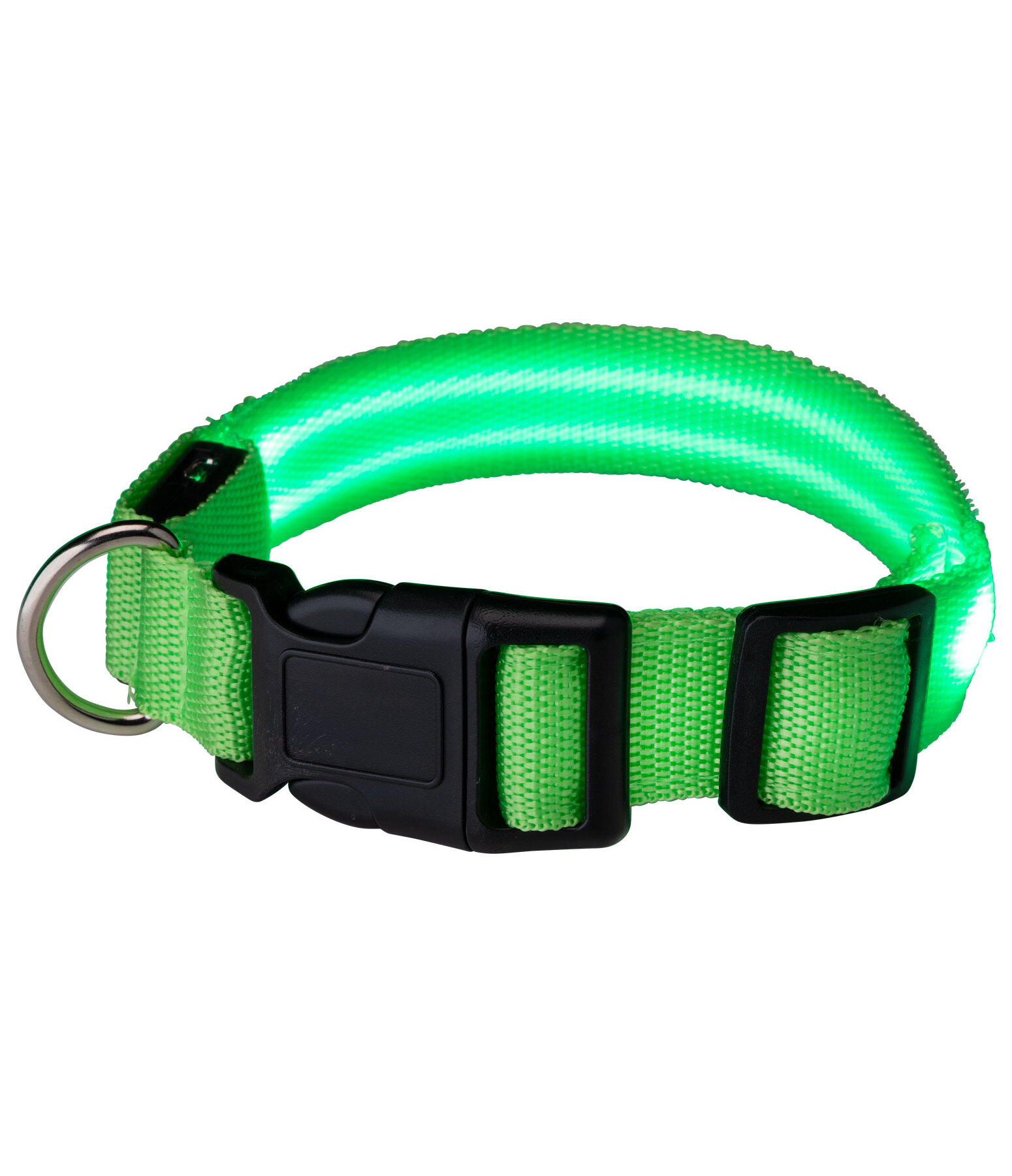 LED Dog Collar Loom