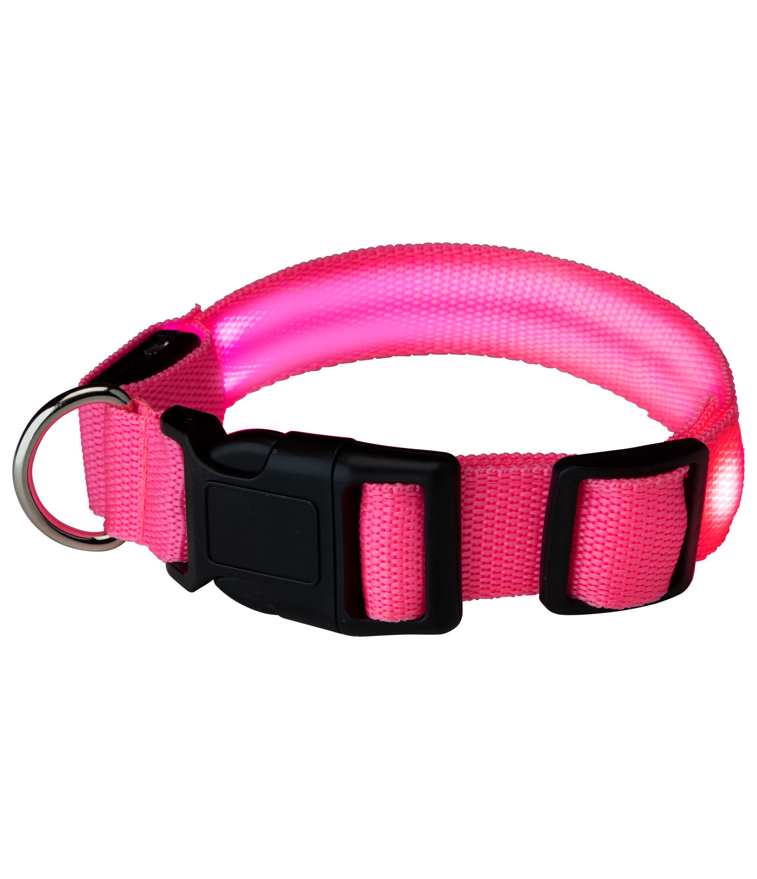 LED Dog Collar Loom