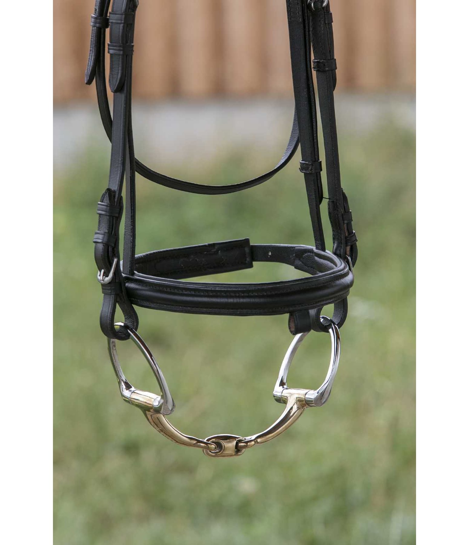 D-Ring Eggbutt Bit Anatomica, Double Jointed