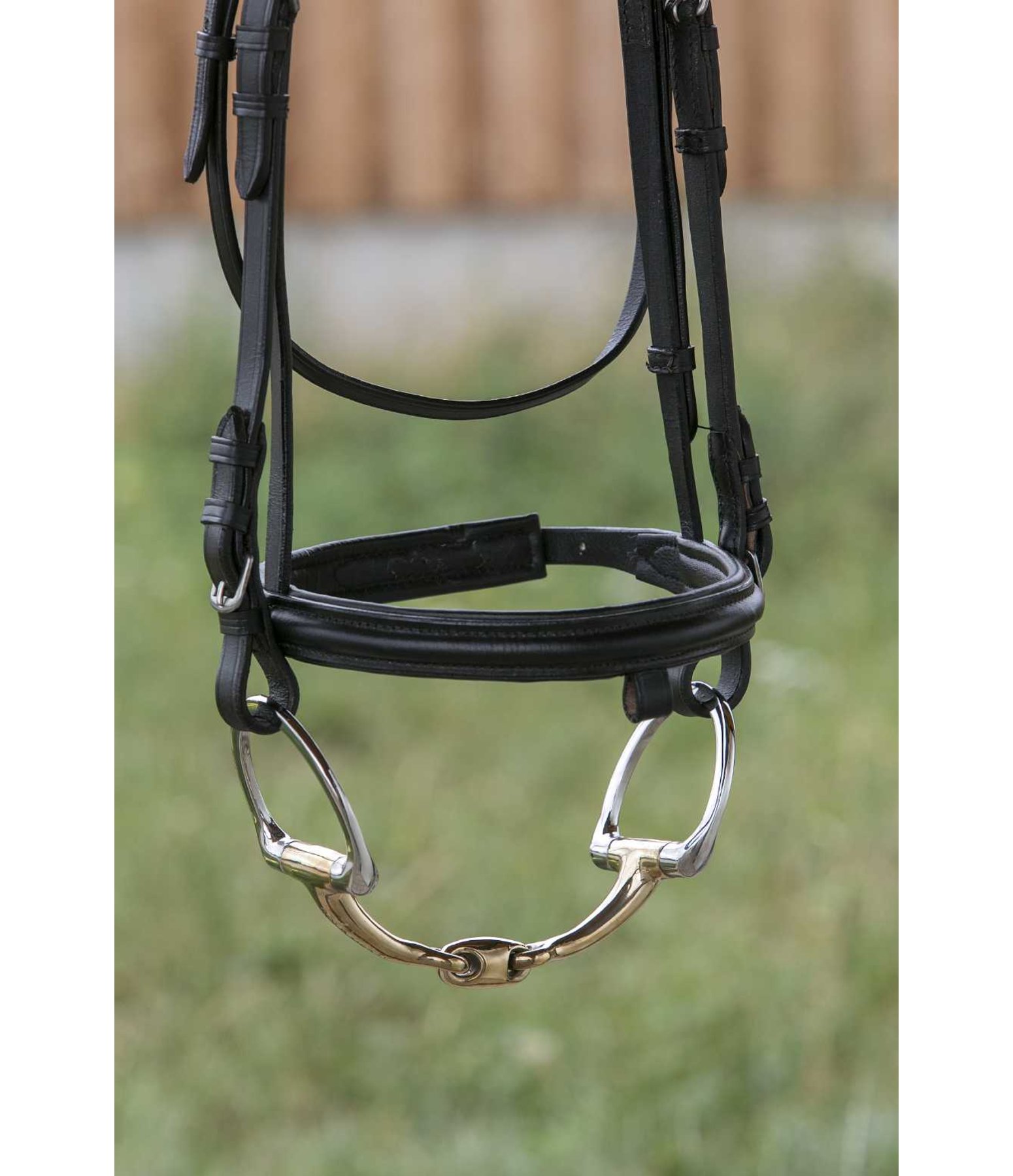 D-Ring Snaffle Bit Anatomica