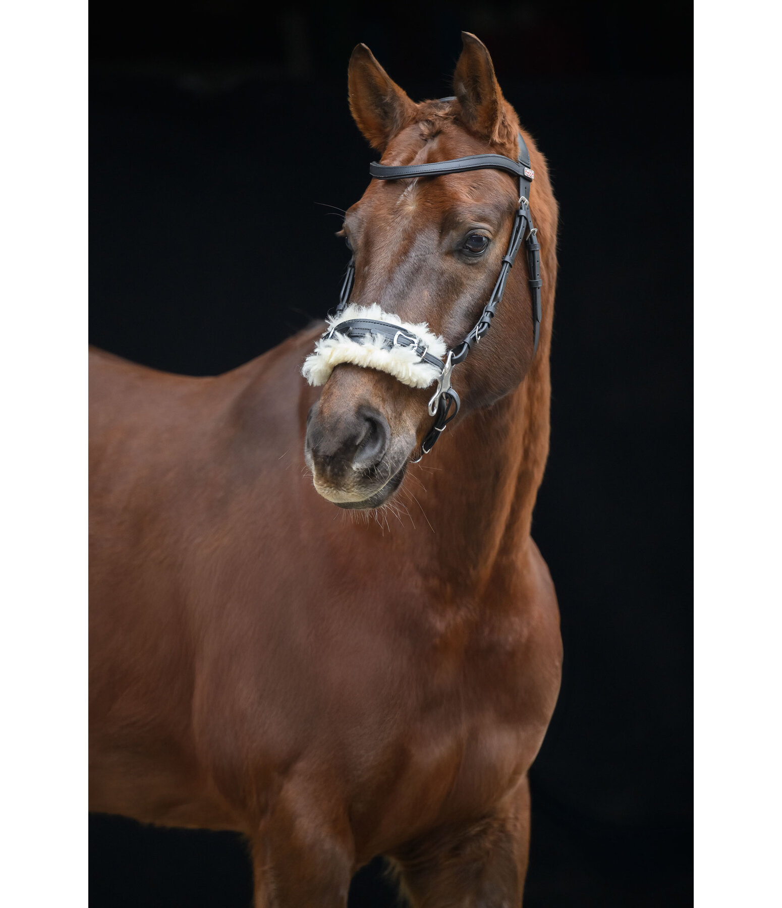 Hackamore with Fur Padding