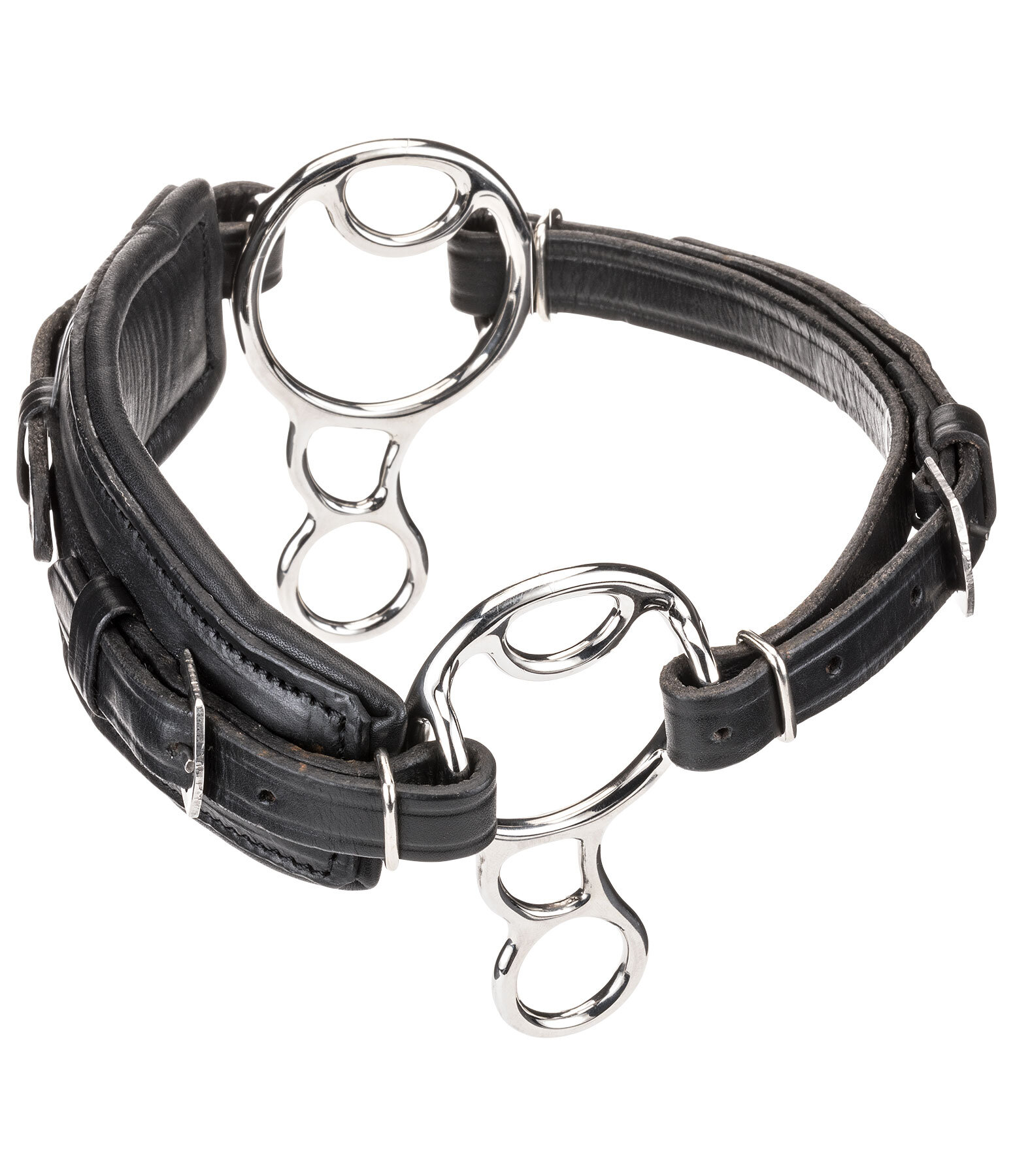 Bitless Bridle