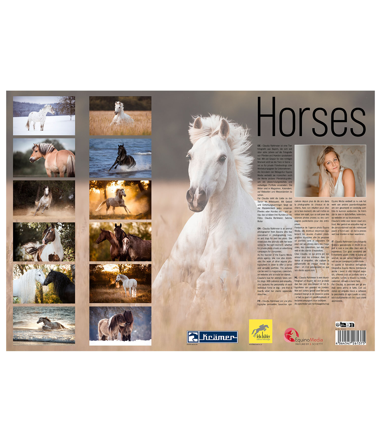 Horses Calender 2026