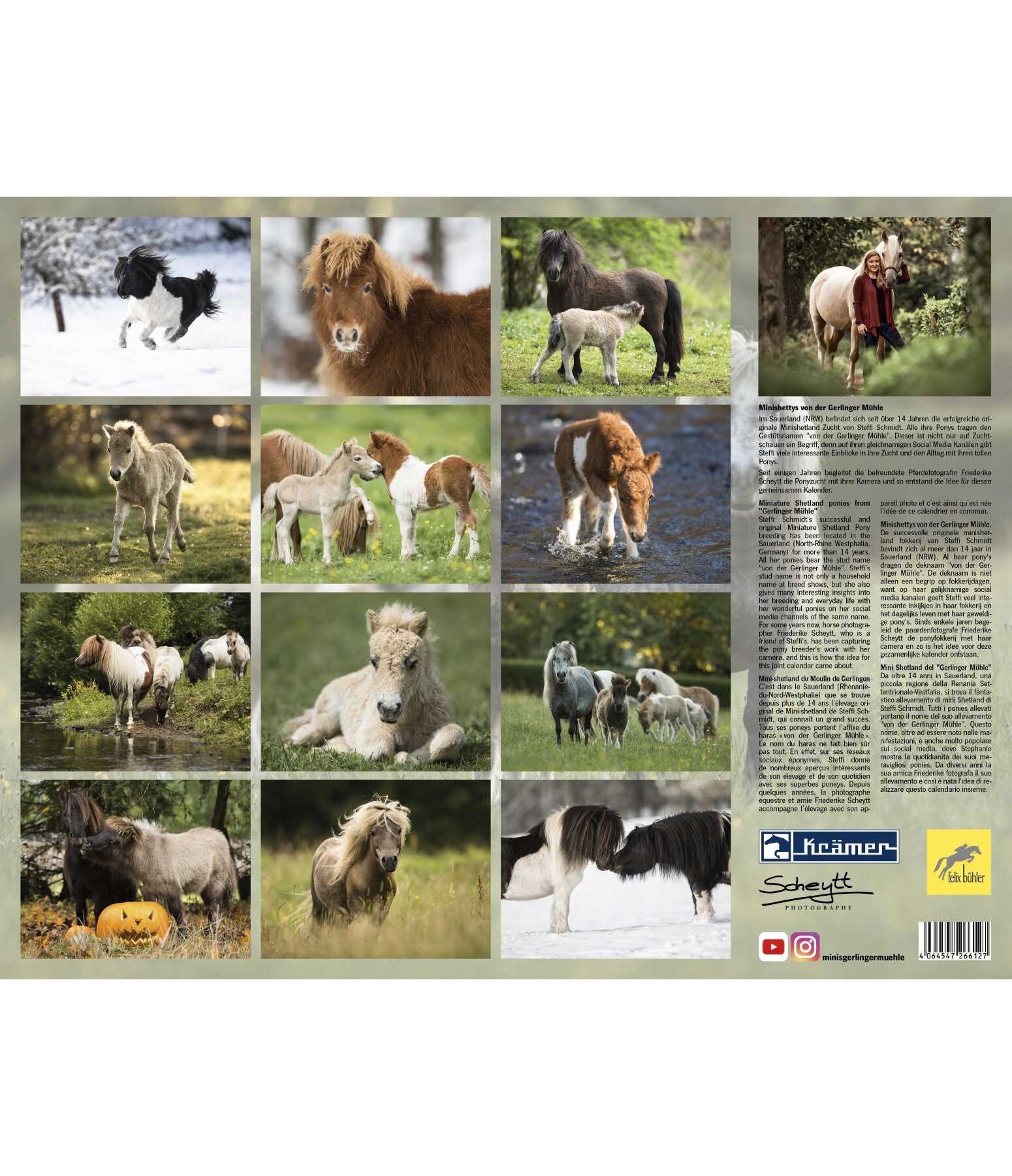Miniature Shetland Ponies Calendar 2023 - Kramer Equestrian