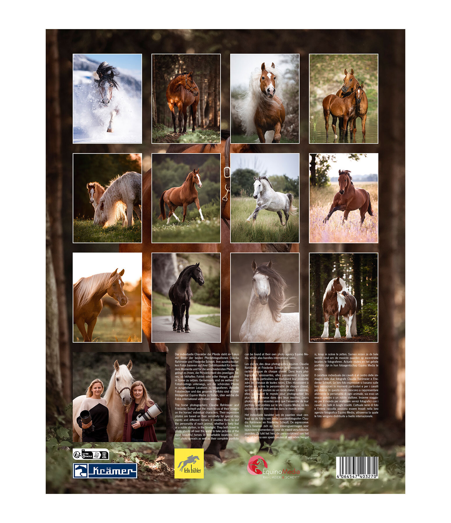 Horse Love Calendar 2026