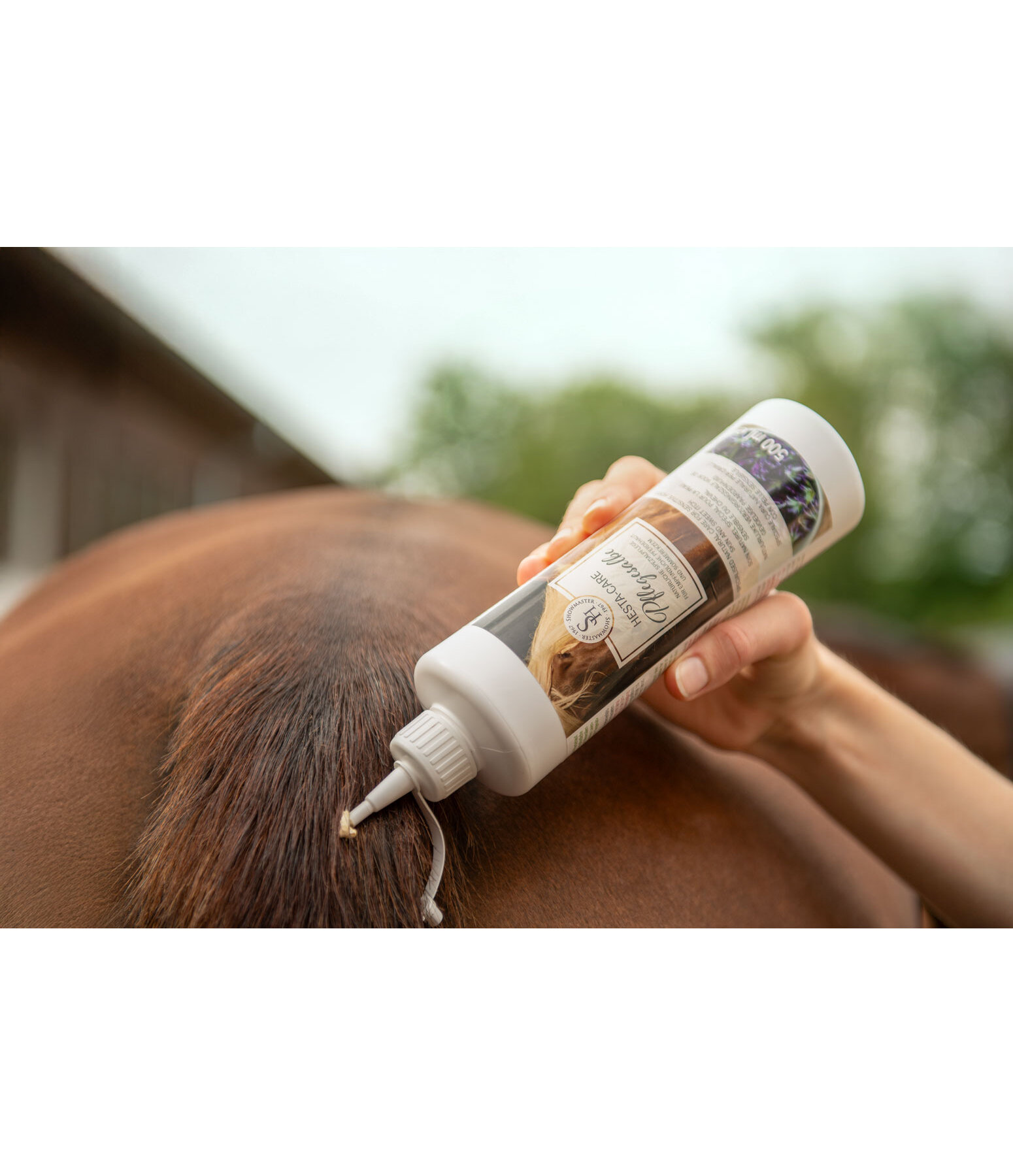 Hesta-Care Ointment