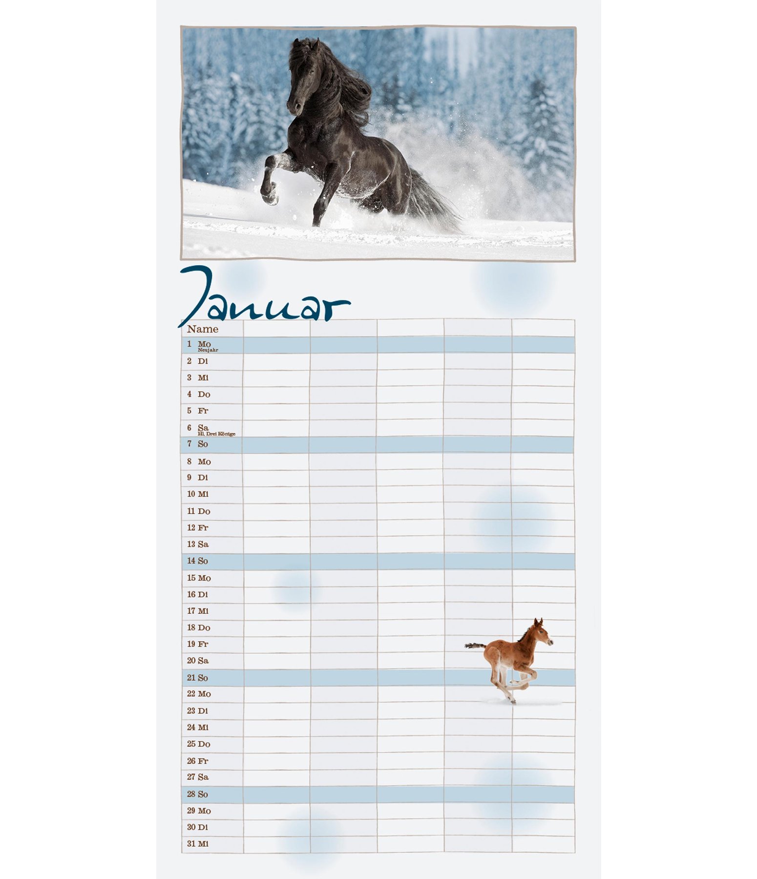 family planner 2018