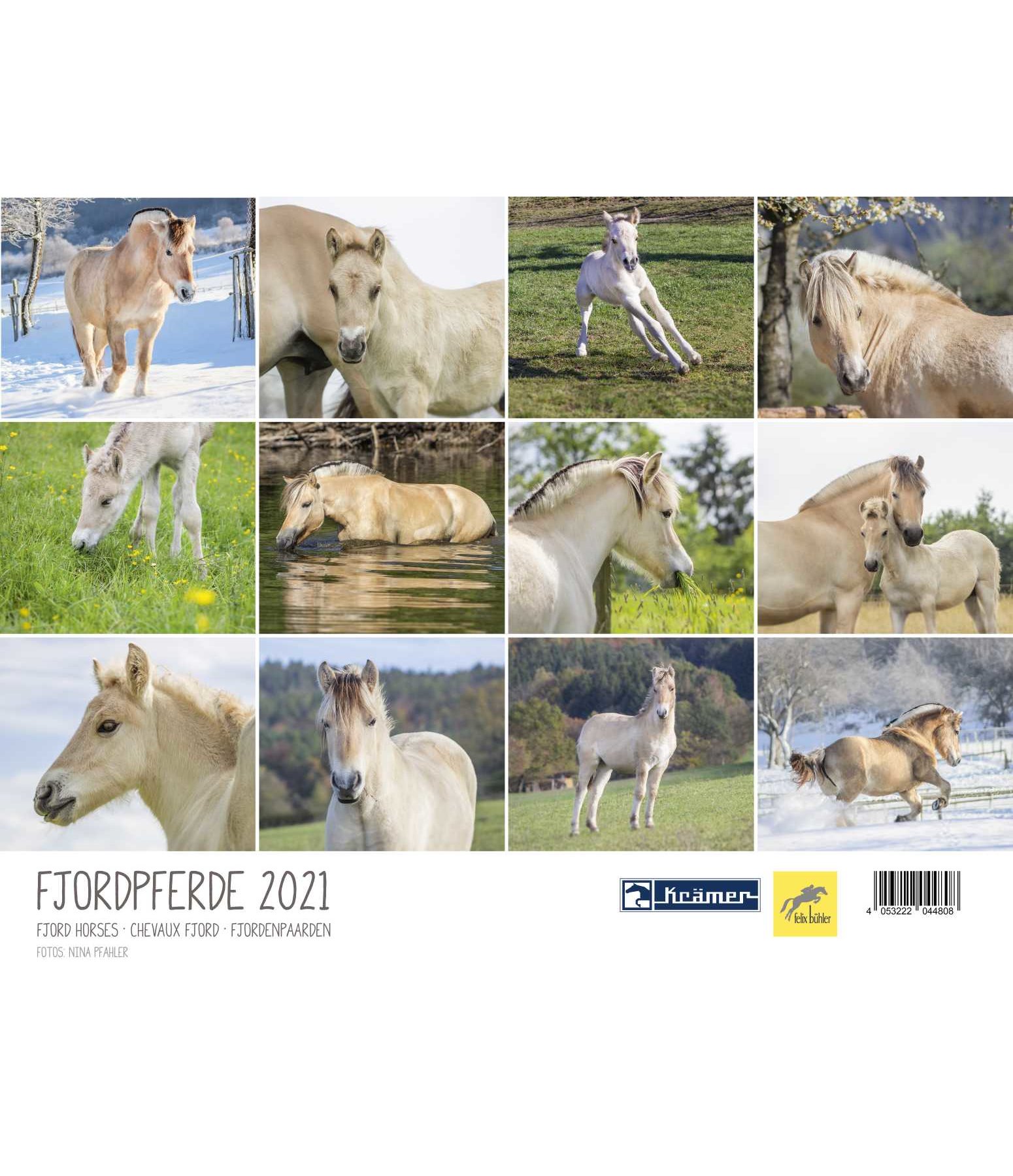 Fjord Horses Calendar 2019 Calendars Kramer Equestrian