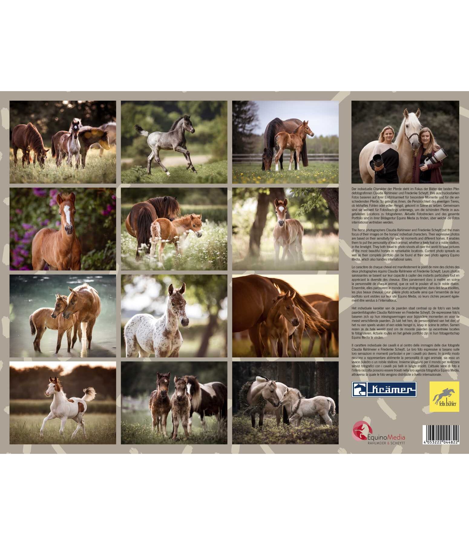 Foals Calendar 2024