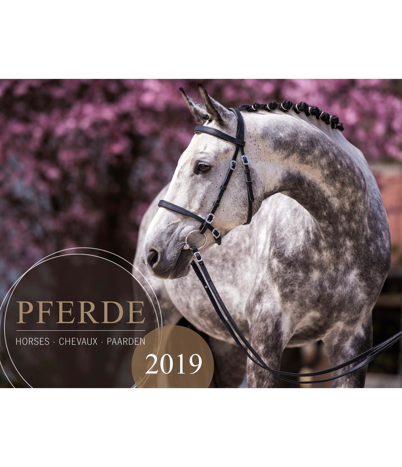 The most beautiful 2018 horse calendars Kramer Equestrian Blog