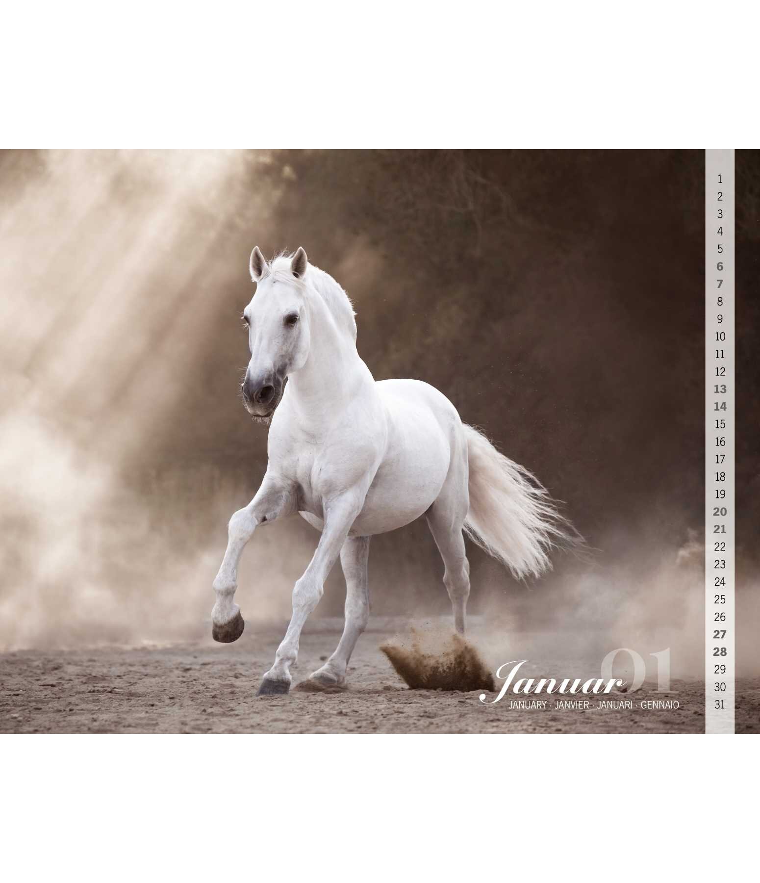 Baroque Calendar 2023 - Gifts - Kramer Equestrian