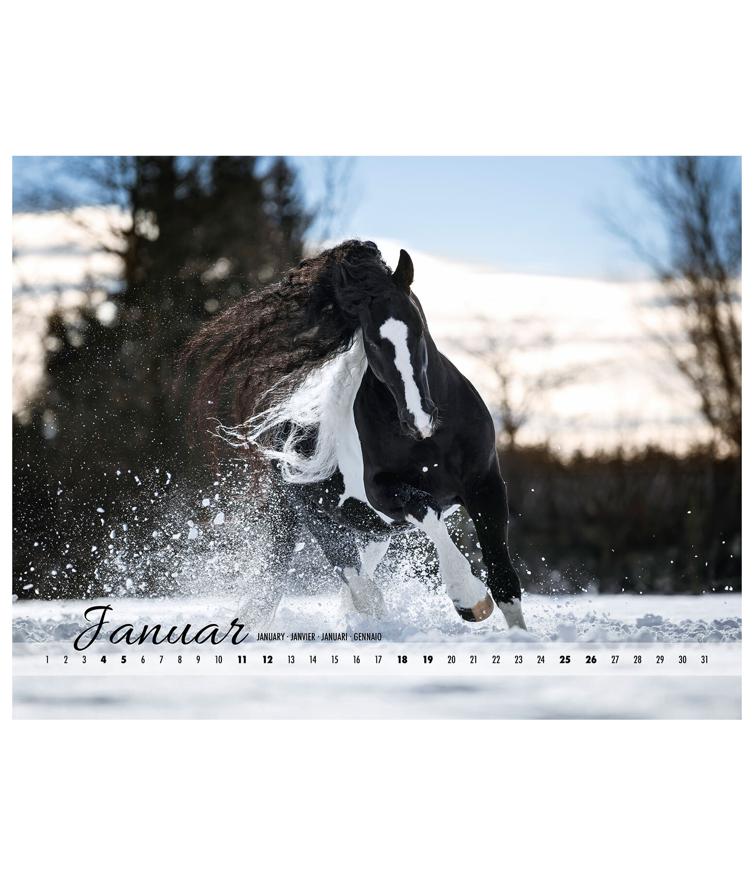 Baroque Calendar 2023 - Gifts - Kramer Equestrian