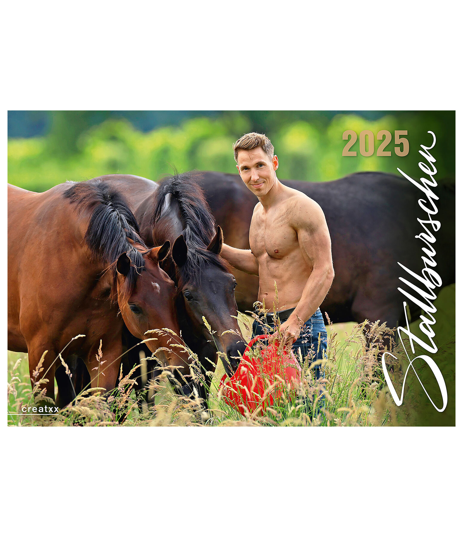 Stable Boys 2024