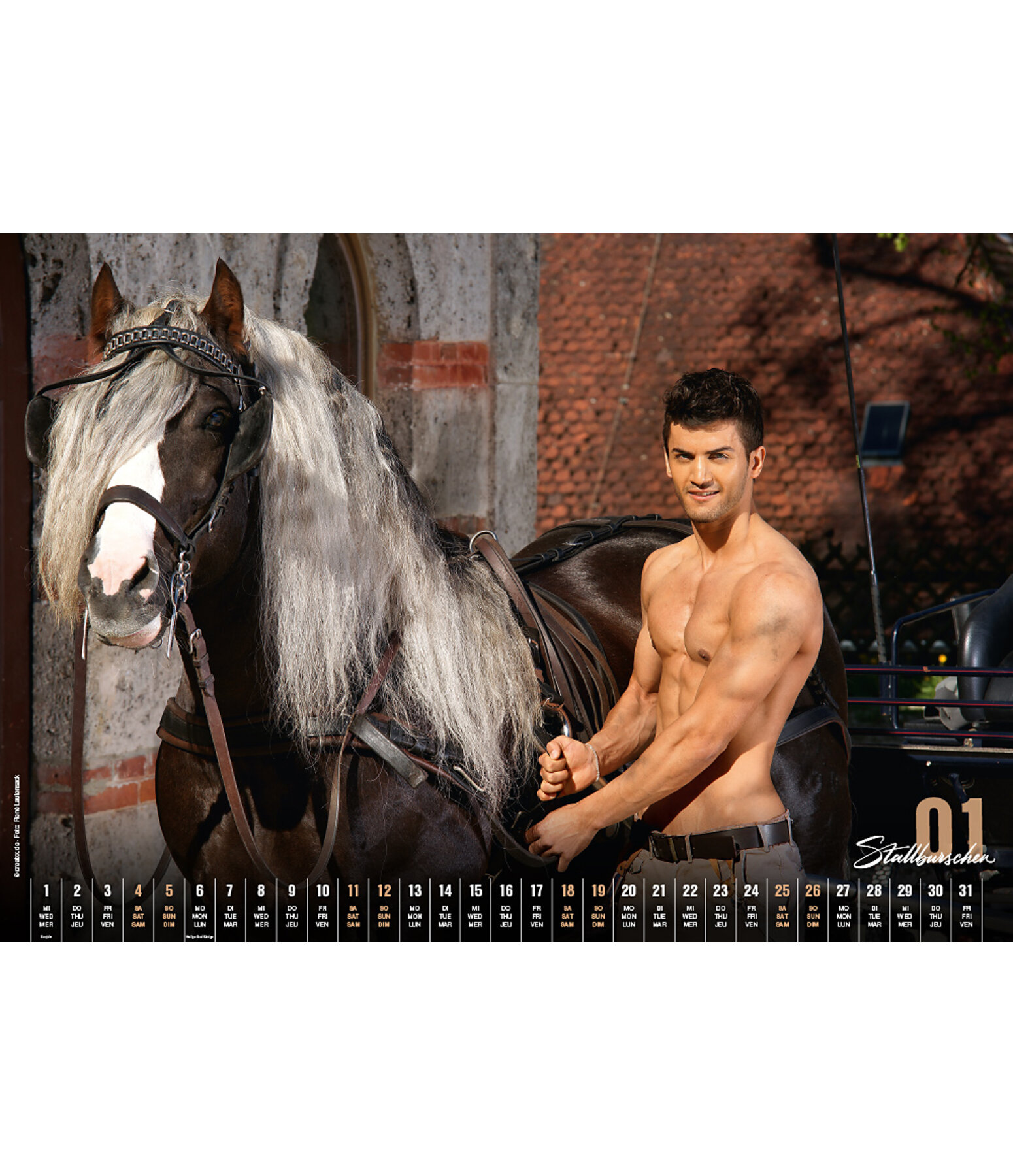 Stable Boys 2024