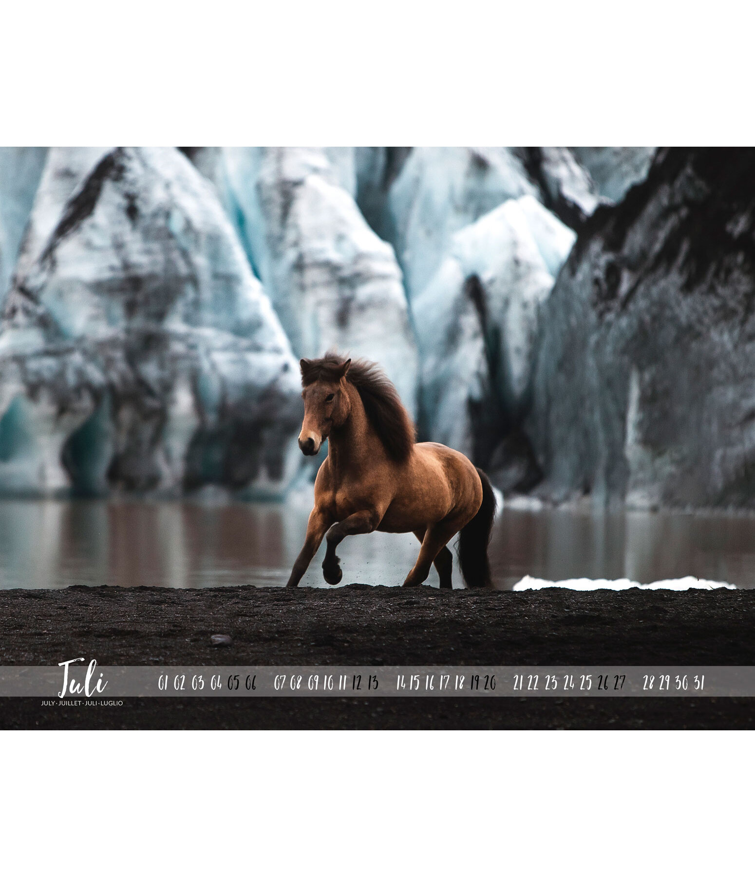 Icelandic Horse Calendar 2024
