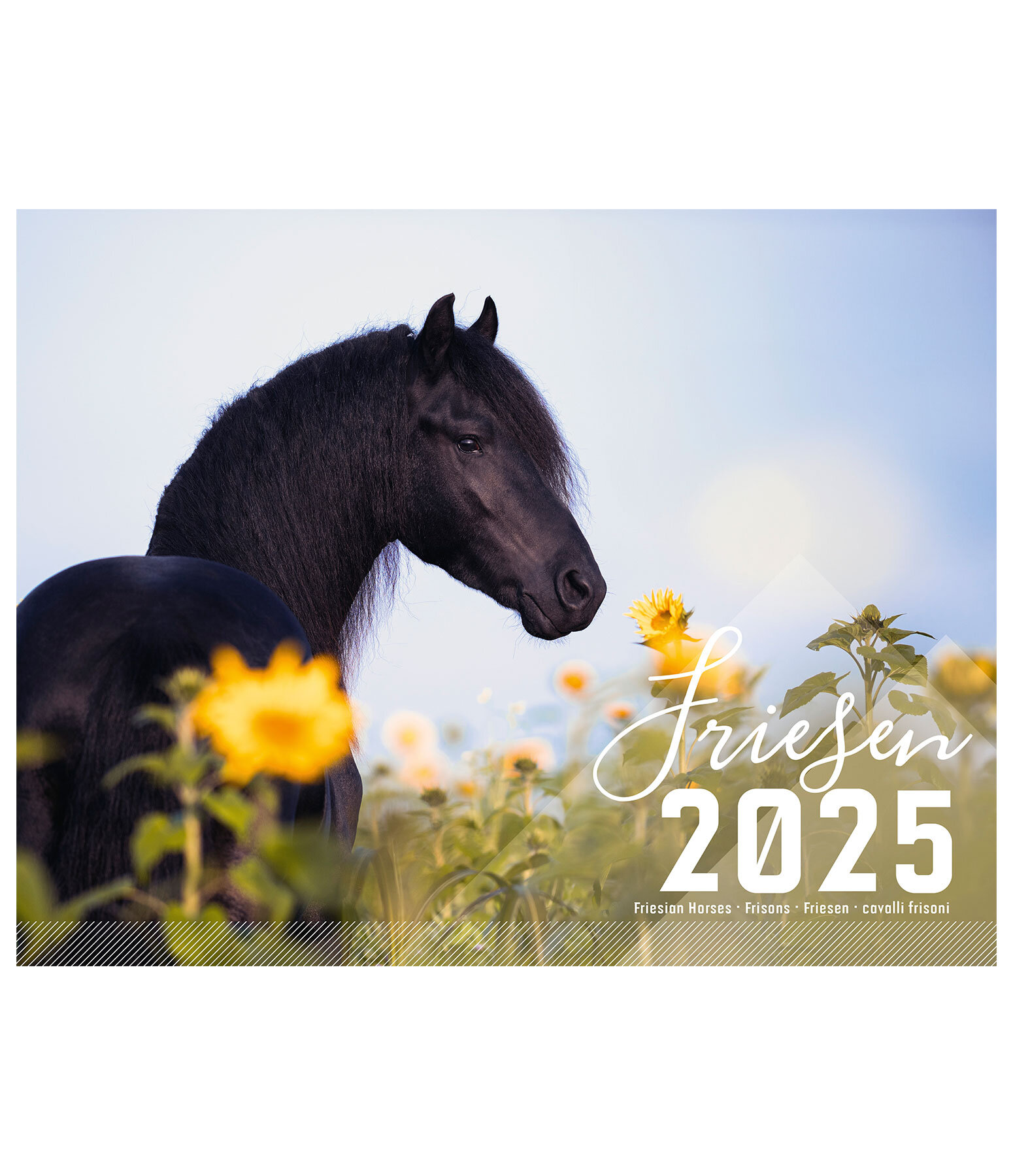 Friesian Horse Calendar 2024 Calendars Kramer Equestrian