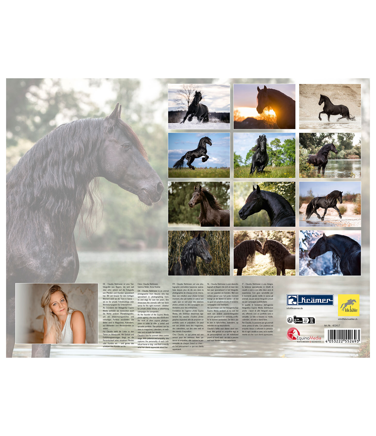 Friesian Horse Calendar 2026