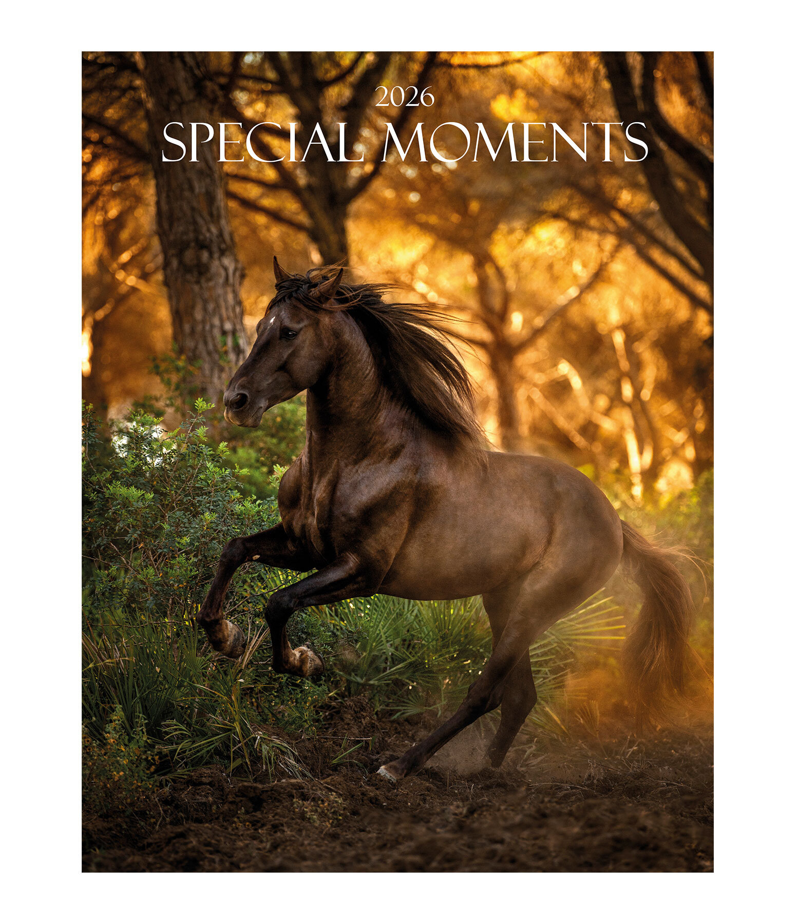 Special Moments Calendar 2025