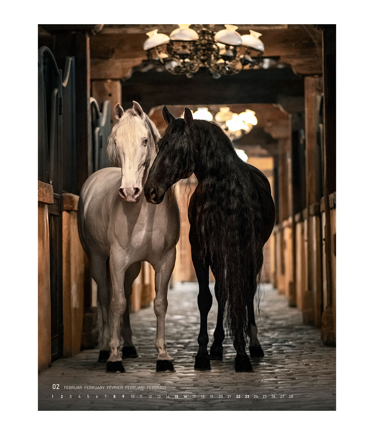 Special Moments Calendar 2025 Calendars Kramer Equestrian