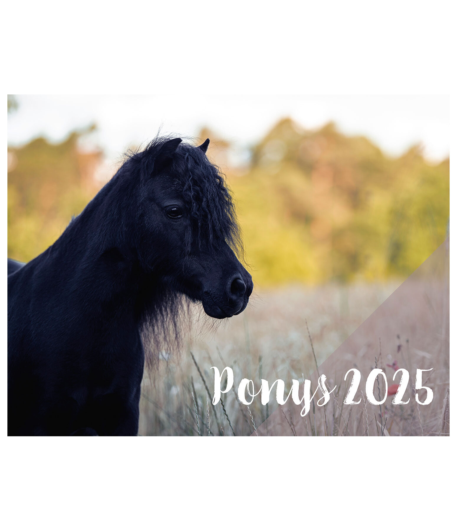 Pony Calendar 2024 Calendars Kramer Equestrian