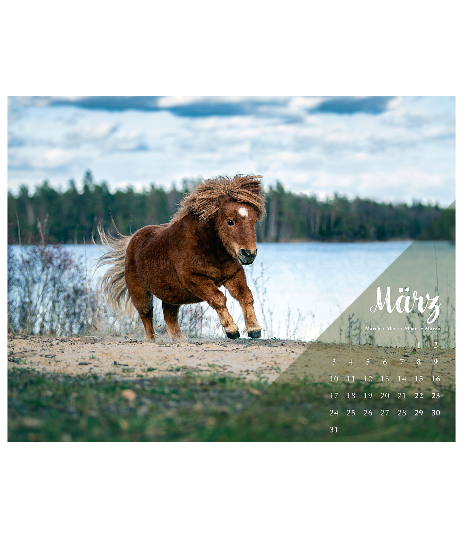 Pony Calendar 2024 Calendars Kramer Equestrian