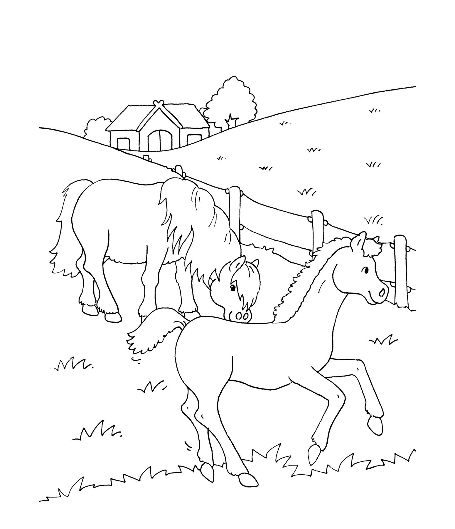 My Big Colouring Book - Horses
